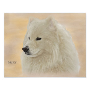 Impression Photo Papier de qualité Kodak Samoyed Portrait 14X11