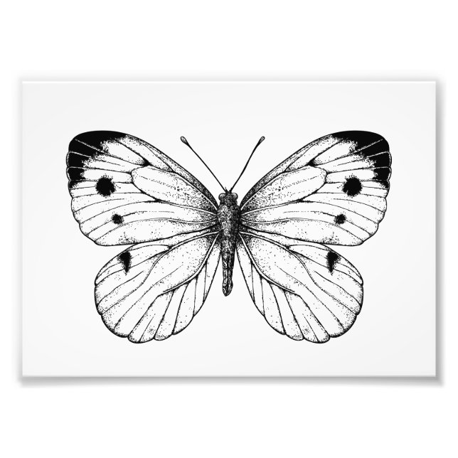Impression Photo Papillon à chou (Devant)