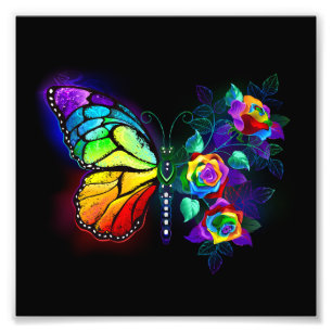 Impression Photo Papillon arc-en-ciel