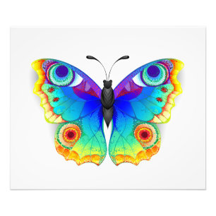 Impression Photo Papillon Arc-en-ciel Paon Œil