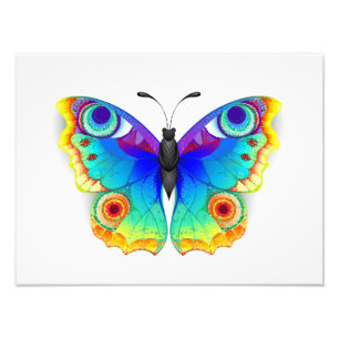 Impression Photo Papillon Arc-en-ciel Paon Yeux
