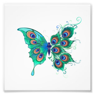 Impression Photo Papillon aux plumes de paon vert