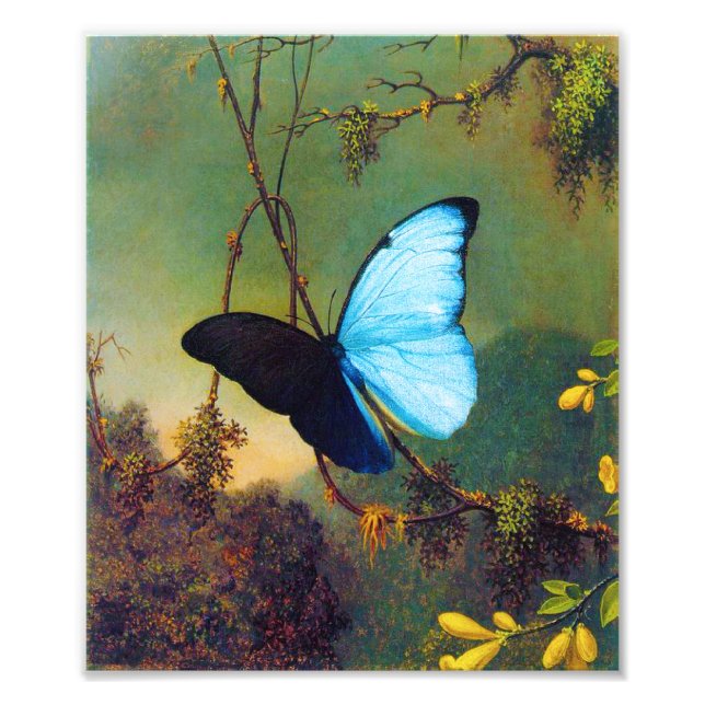 Impression Photo Papillon bleu Morpho Imprimer (Devant)