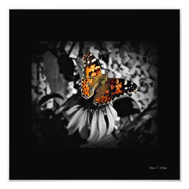 Impression Photo Papillon dame peint SC Art (Devant)