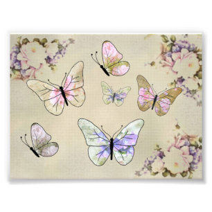 Impression Photo Papillon des roses