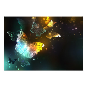 Impression Photo Papillon lumineux et papillons de nuit