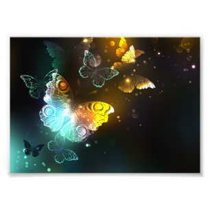 Impression Photo Papillon lumineux et papillons de nuit
