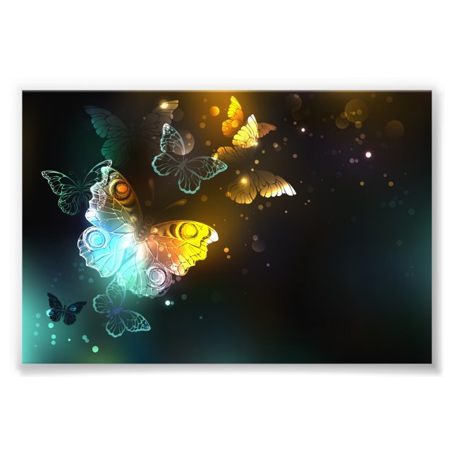 Impression Photo Papillon lumineux et papillons de nuit (Devant)