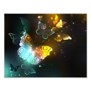 Impression Photo Papillon lumineux et papillons de nuit
