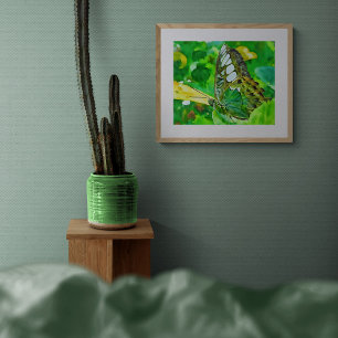 Impression Photo Papillon Malachite sur feuille verte