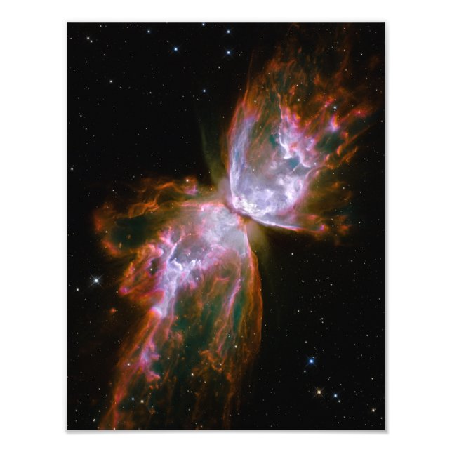 Impression Photo Papillon / Nébuleuse du bogue (télescope Hubble) (Devant)