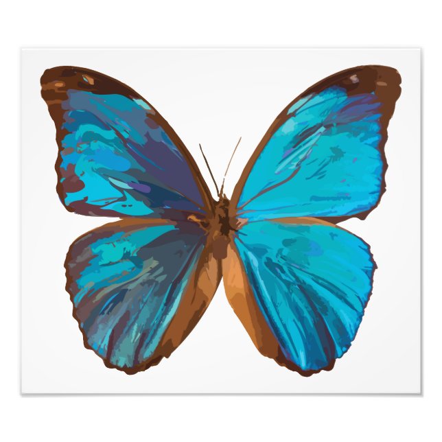 Impression Photo Papillon Tropical Blue et Turquoise Gem (Devant)