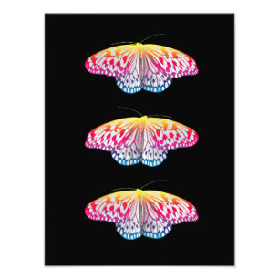 Impression Photo Papillons de couleur arc-en-ciel
