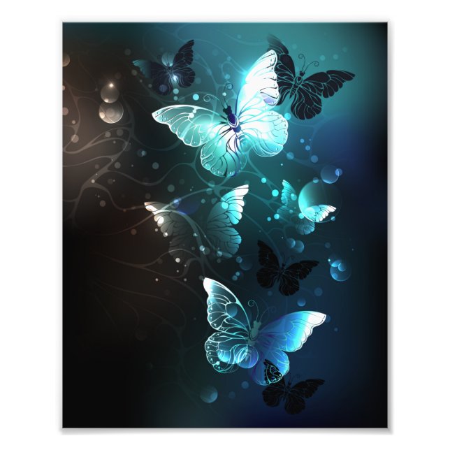 Impression Photo Papillons de nuit (Devant)