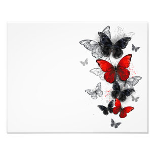 Impression Photo Papillons Morpho Noirs et Rouges en Vol