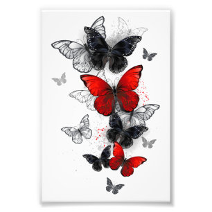 Impression Photo Papillons noirs et rouges volants