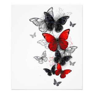 Impression Photo Papillons noirs et rouges volants