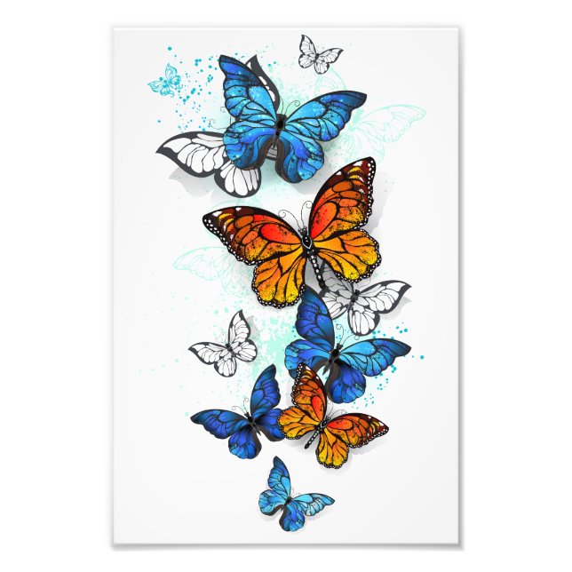 Impression Photo Papillons volants Morpho et Monarch (Devant)