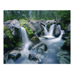 Impression Photo Paradise Creek coule sur les pentes du Mont