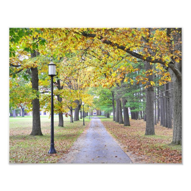 Impression Photo Parc d'état Spa de Saratoga (Devant)