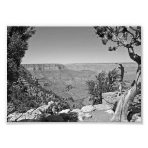 Impression Photo Parc national 3 de canyon grand de B&W