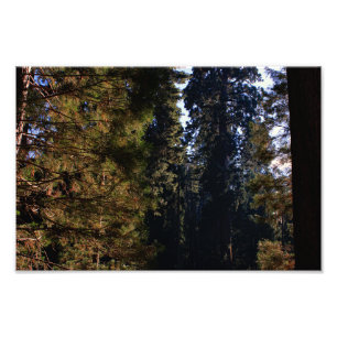 Impression Photo Parc national de Kings Canyon
