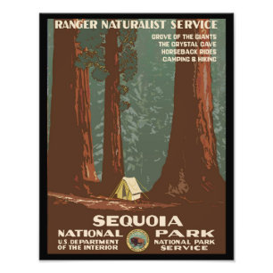 Impression Photo Parc national de Sequoia