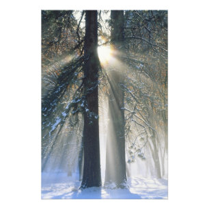 Impression Photo Parc national de Yosemite - Rayons de soleil filtr