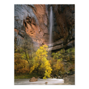 Impression Photo Parc national de Zion, Utah. États-Unis Éphémère