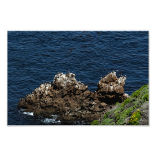 Impression Photo Parc national des îles Channel