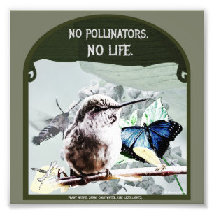 Impression Photo Pas de pollinisateurs, pas de vie