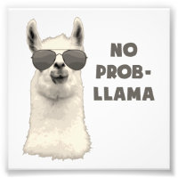 Pas de problème Llama