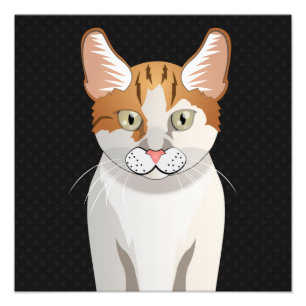 Impression Photo Pattes de bande dessinée de chat mannois