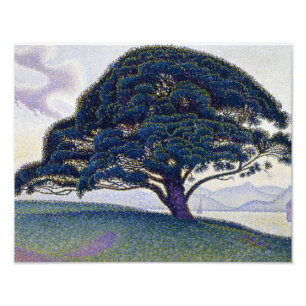 Impression Photo Paul Signac - Le pin Bonaventure