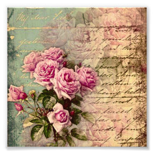Impression Photo Pays français chic, roses chics et roses minables