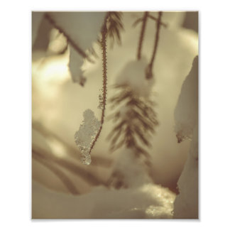 Impression Photo Paysage artistique de forêt hivernale enneigée et