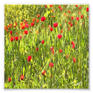 Impression Photo Paysage artistique du pavot à prés