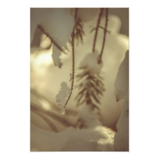 Impression Photo Paysage artistique fin de forêt enneigée et glacée