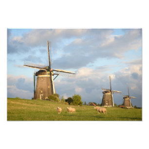 Impression Photo Paysage avec des moulins à vent et des moutons