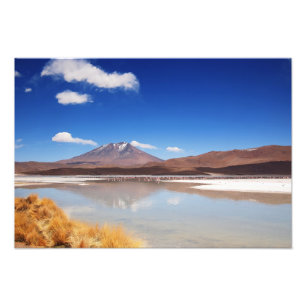 Impression Photo Paysage d'Altiplano avec le volcan en Bolivie