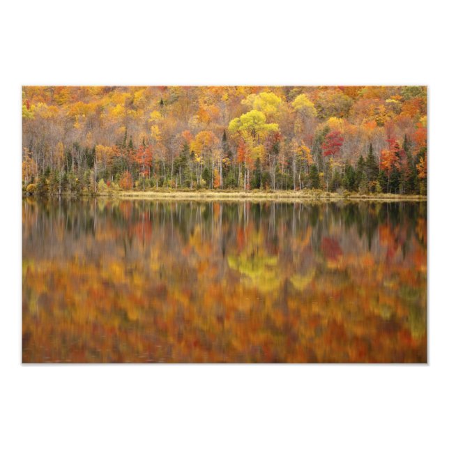 Impression Photo Paysage d'automne avec lac, Vermont, États-Unis (Devant)