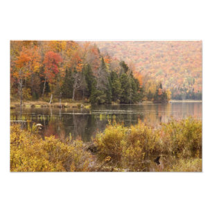 Impression Photo Paysage d'automne avec lac, Vermont, États-Unis 2