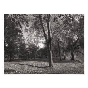 Impression Photo Paysage d'automne, Bute Park, Cardiff