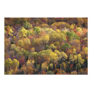 Impression Photo paysage d'automne, Vermont, États-Unis