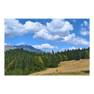 Impression Photo Paysage de prairie de montagne - Nature sauvage Ro