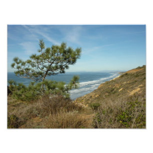 Impression Photo Paysage de Torrey Pine et de la côte californienne