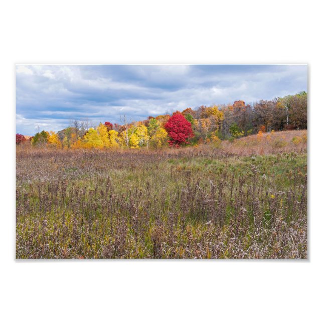 Impression Photo paysage des prairies en automne au parc d'état aft (Devant)