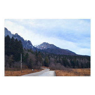 Impression Photo Paysage Scénique de la Route Forestière Nature Sau