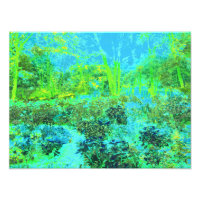 Paysage verdoyant et bleu du jardin