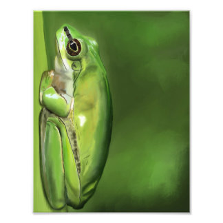 Impression Photo Peinture à l'huile de grenouille-1